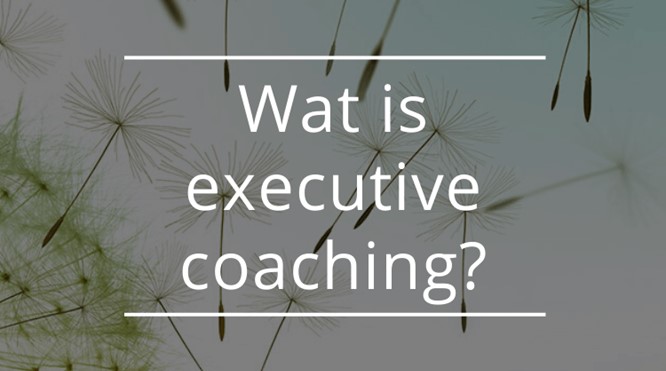 Wat is executive coaching?